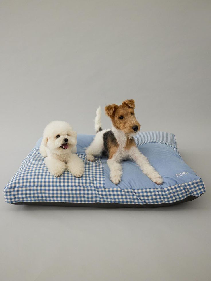 Comfortable dog beds for restful moments