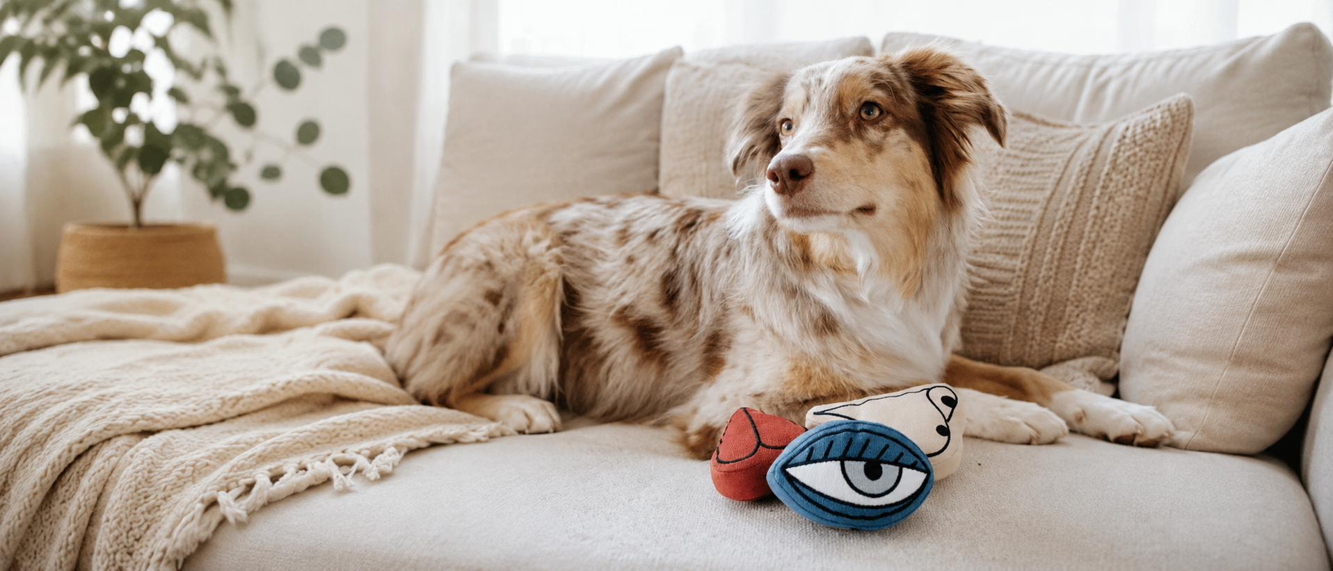 Dog relaxing at home with pet toys